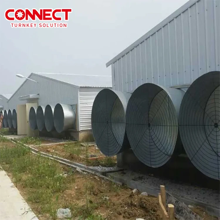 36inch 40inch 50inch Industrial Cooling Fan Butterfly Type Greenhouse and Poultry House Ventilation Exhaust Cone Fan