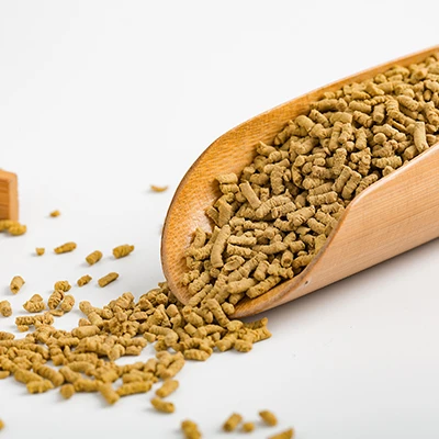 Buckwheat tea Chinese organic tartary buckwheat tea with tartary buckwheat extract flavonoids fit slimming weight loss and detox