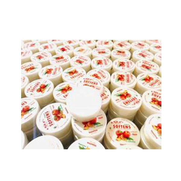 Great Effect White Petroleum Jelly Packing 250 ML with great price Lemon / Mango /Strawberry /Peach/Apple