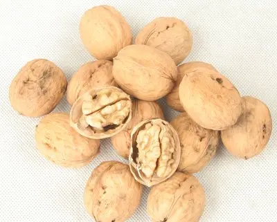 Top Grade Walnuts With High Quality Chinese Walnut Kernel Shell Bulk Style Packing Packaging Food Raw Origin Type Dried