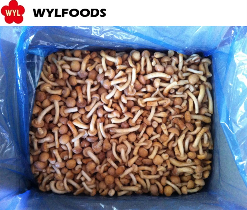 High Quality Iqf Frozen Nameko Mushroom for frozen mushroom