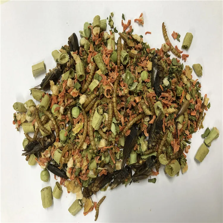 Customized Freeze Dried Omnivore Mix Food for Reptile Animal Feeding