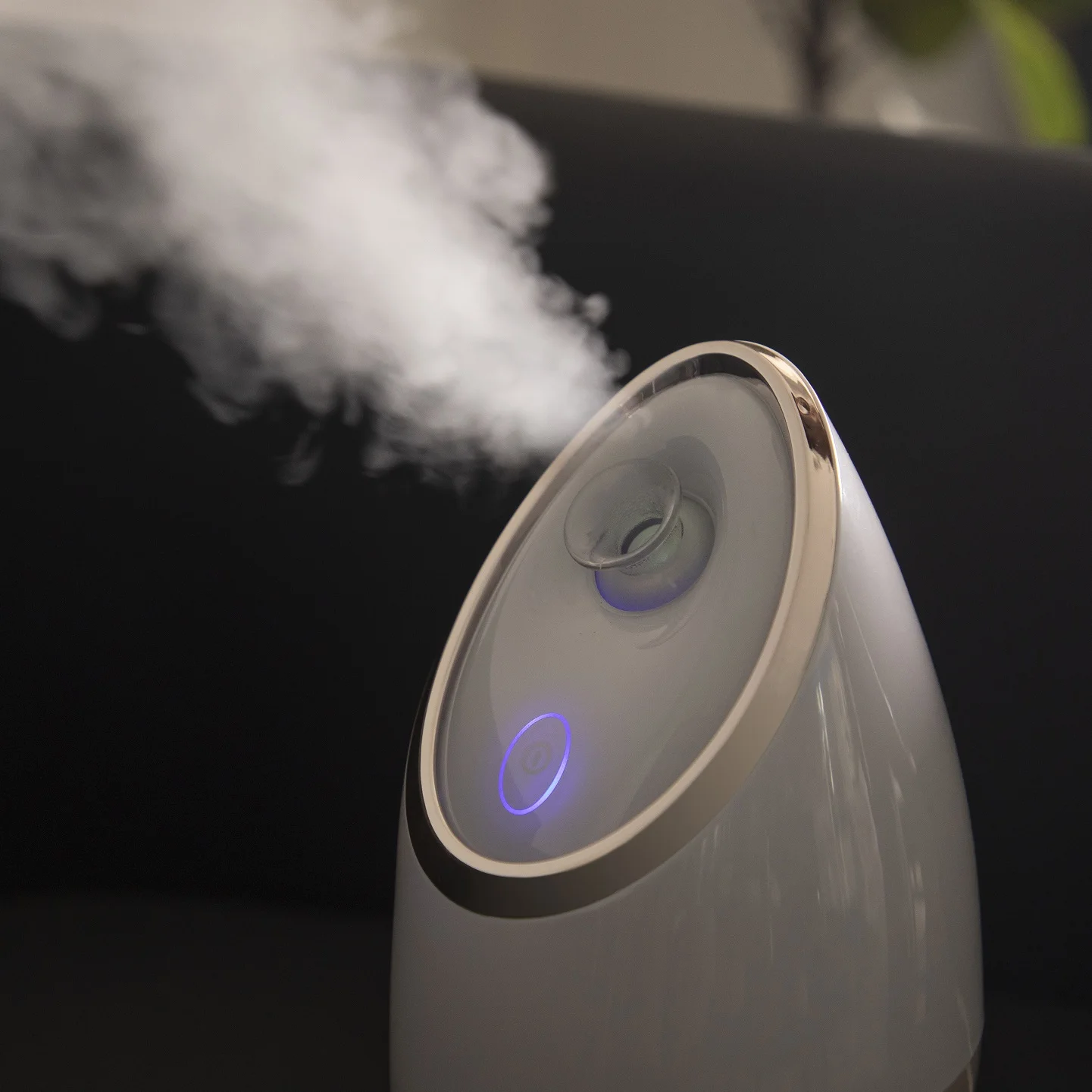 YACHAO 2022 Multifunctional Hot Mist Facial Steamer Wholesale For Beauty