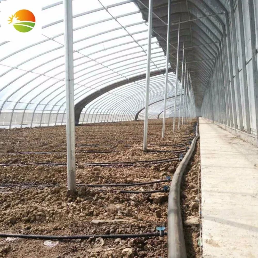 Китай теплица с задней стенкой зима теплый Солнечный нагрев теплицы для сельского хозяйства