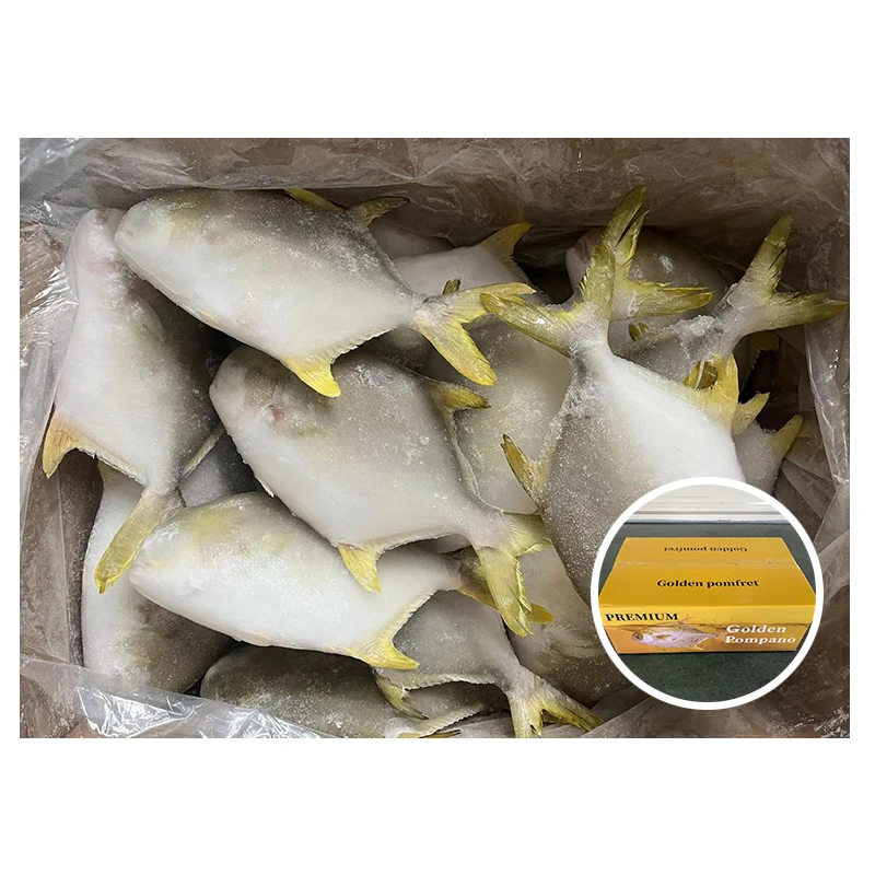 Chinese Manufacturer Wholesale Price 400-600g Frozen Golden Pomfret