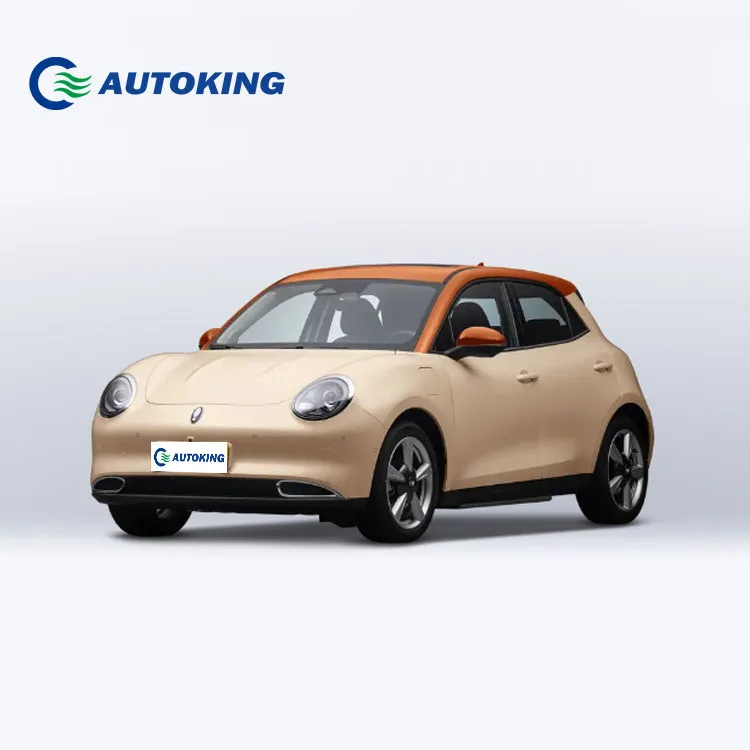 Safe And Fast Car Ora Good Cat Gt Eco Friendly Cars Cheap Best Looking Electric Cars