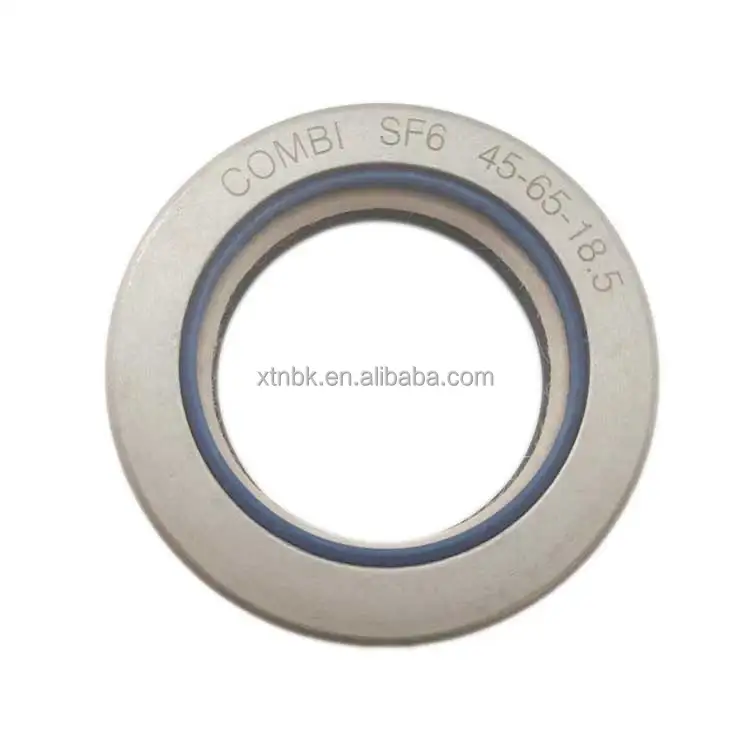 Factory Various Sizes COMBI Oil Seals 45*65*18.5 45*55*10 38*55*11 Other Sizes High Quality Seals