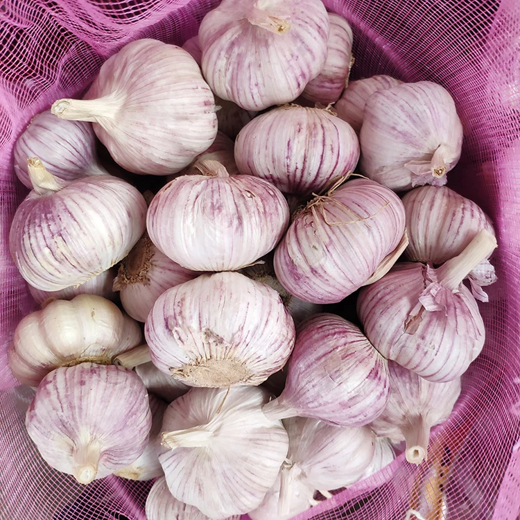 2020 Fresh Red Normal White Chinese Garlic