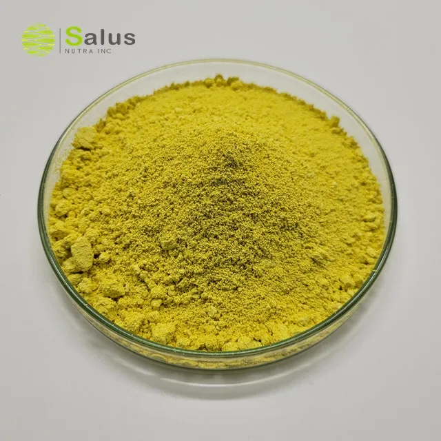 Best Price Pure Kaempferol 98%