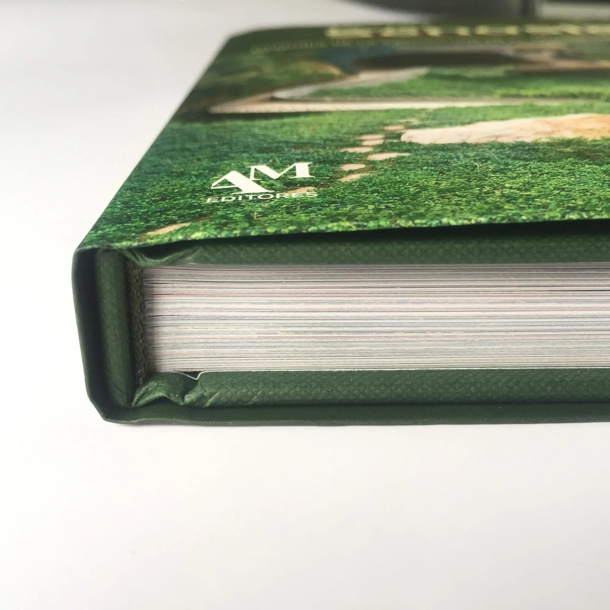 Высокое качество пользовательская фотография Книга в твердом переплете печать