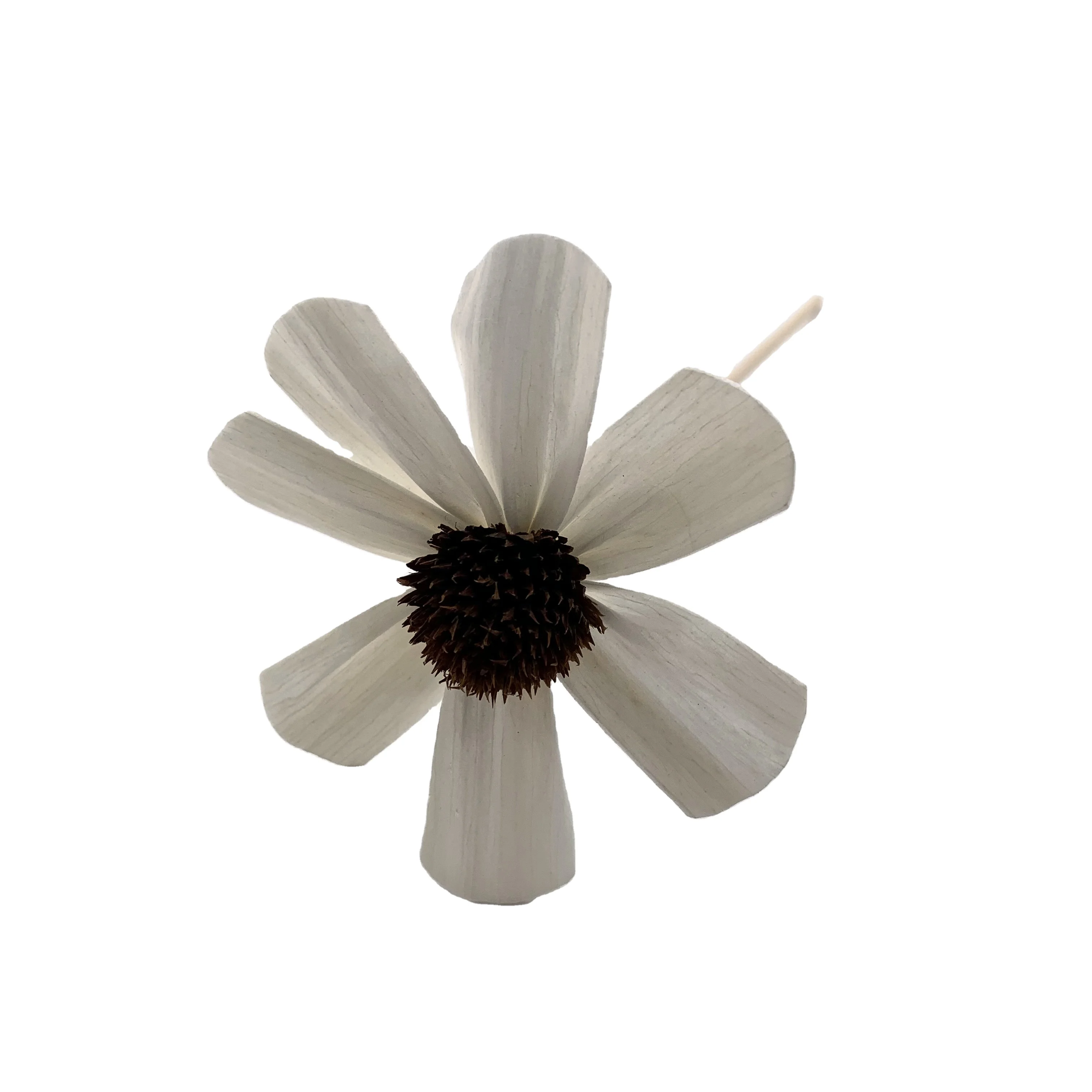 China factory  handmade reed diffuser sola flower dried wood sun Flower with rattan sticks