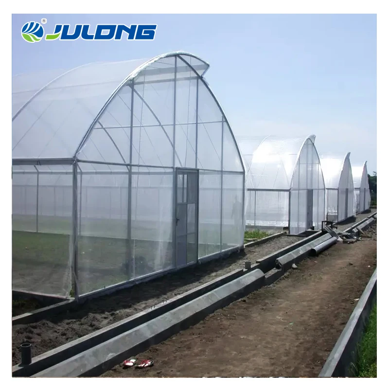 Single-span Green houses Grow Light Greenhouse For Bell Pepper Planting