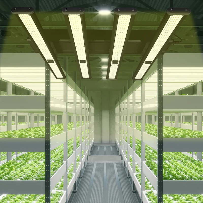 Super Indoor Greenhouse Full Spectrum Vertical Farming Aquaponics Hydroponic Growing Systems Led Grow Lights Thailand Warehouse