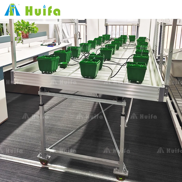 Hydroponic Flood Grow Table Custom Size Rolling Benches Serving The Us Canada And Thailand Markets