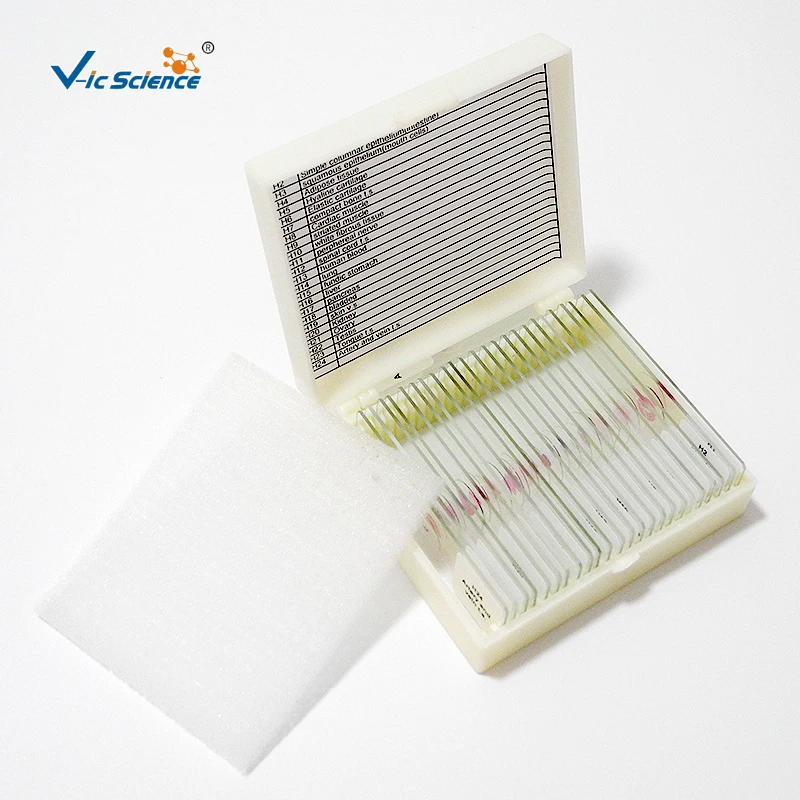 Medical biology laboratory human pathology preparation microscope slide specimen equipment