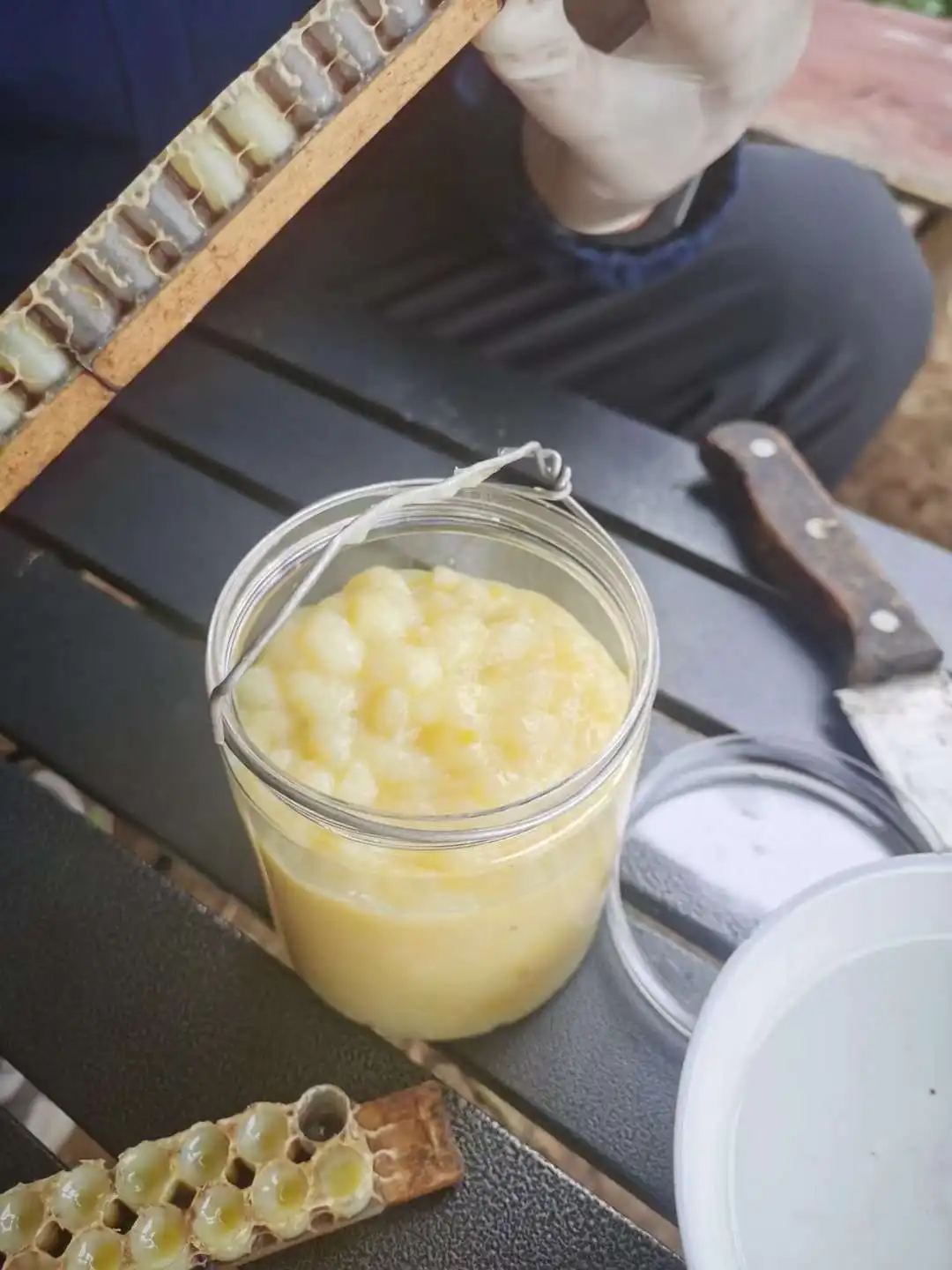 Fresh Frozen Royal Jelly