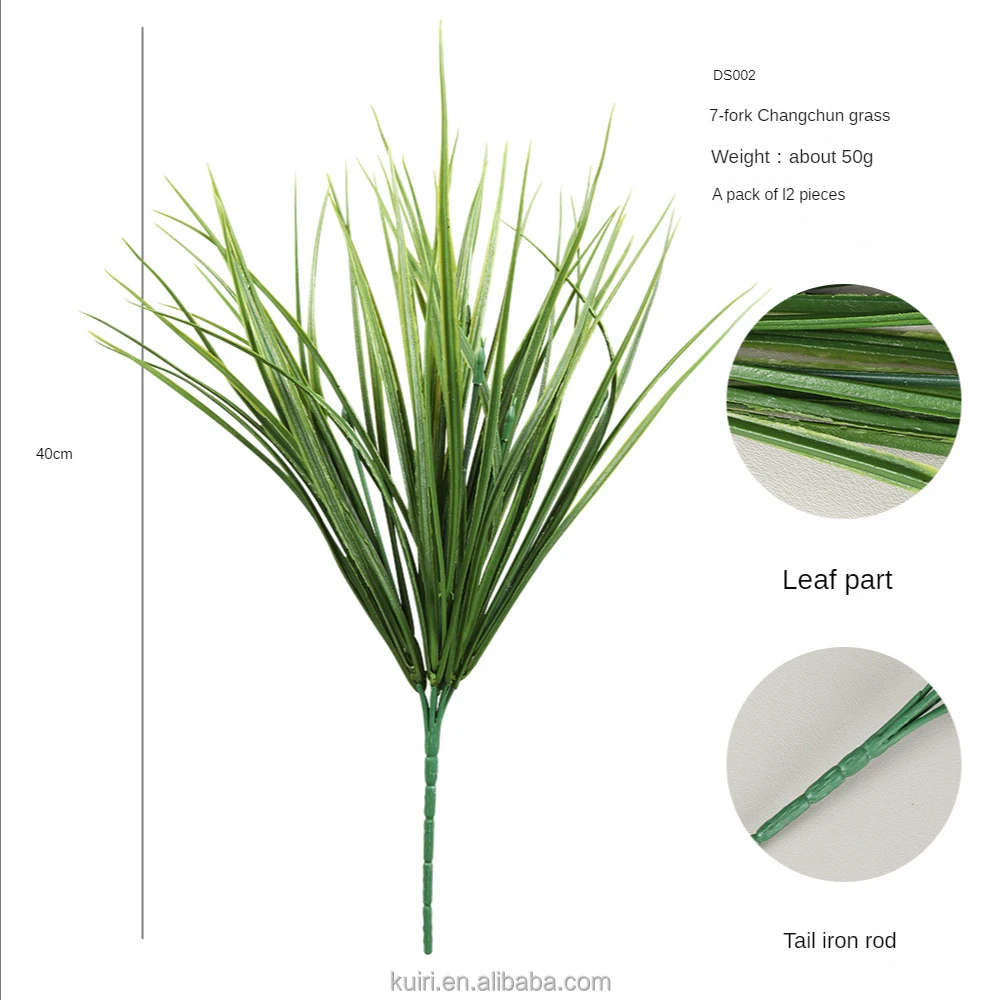 60 pcs pampas grass