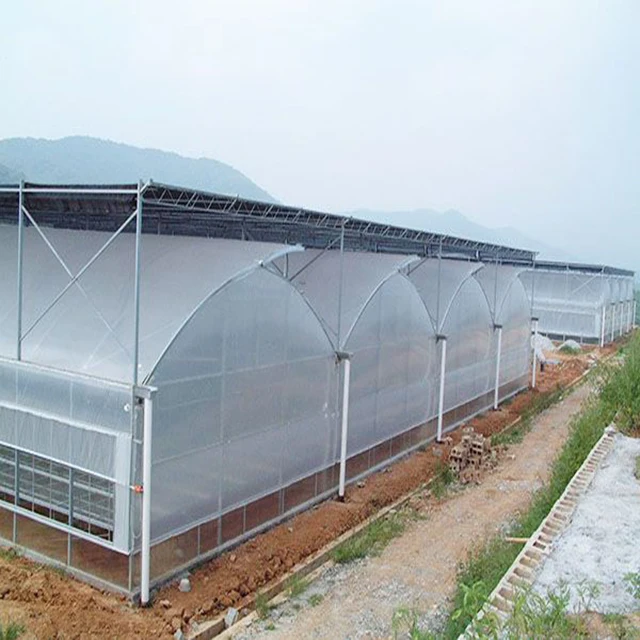 Cheap price plastic film greenhouse hydroponic growing systems greenhouse poly tunnel greenhouse for tomato