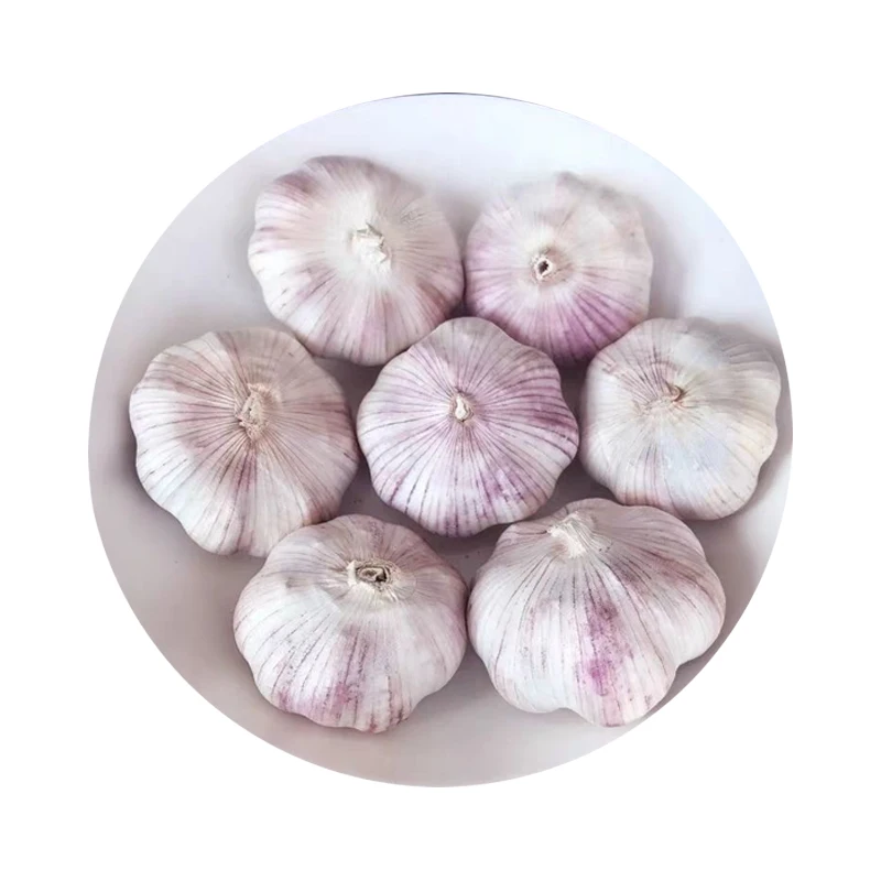White garlic normal fresh chinese 3p pure white garlic