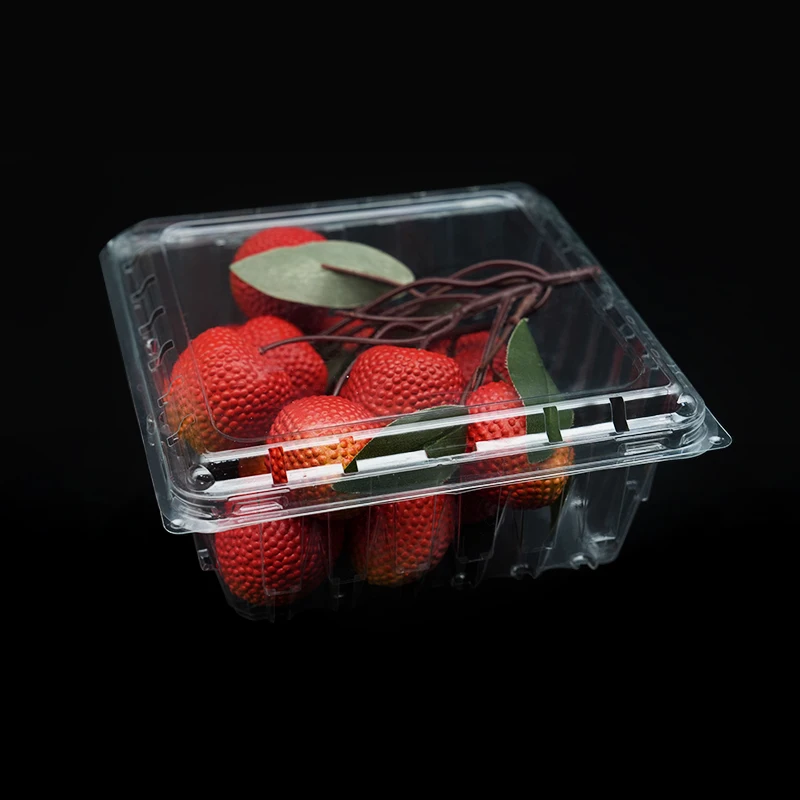 China Wholesale Transparent Disposable Food Container Plastic Custom Clamshell Food Packaging Plastic