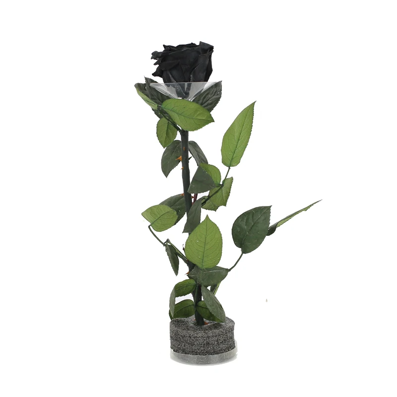 Неизменный цветок розы с стволом, Заводская Категория А, 30 см, сохраненная Роза для подарков на день матери