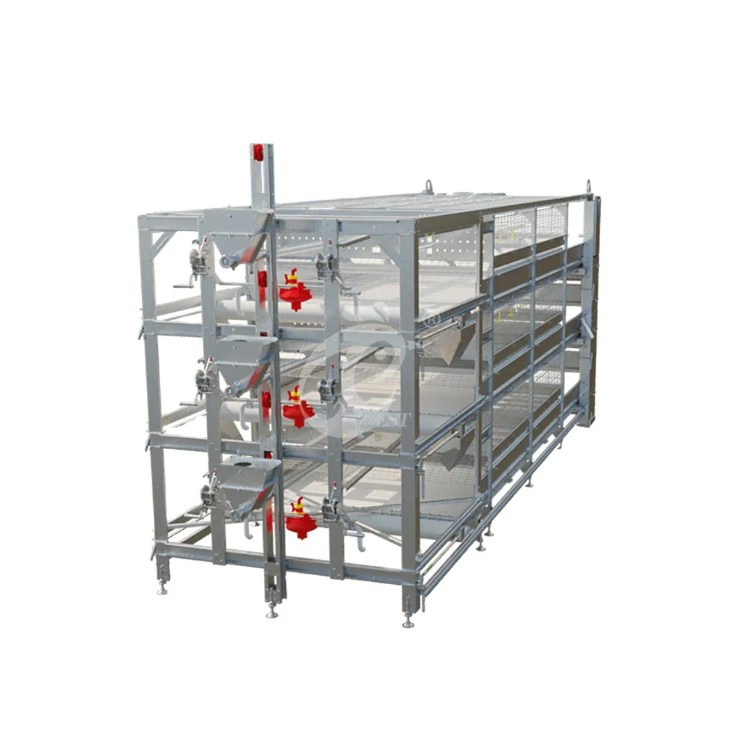 China Layer Chicken/Poultry Battery Cage H Type Hen Coop Odorless Features Heat A Chicken Pullet Coop