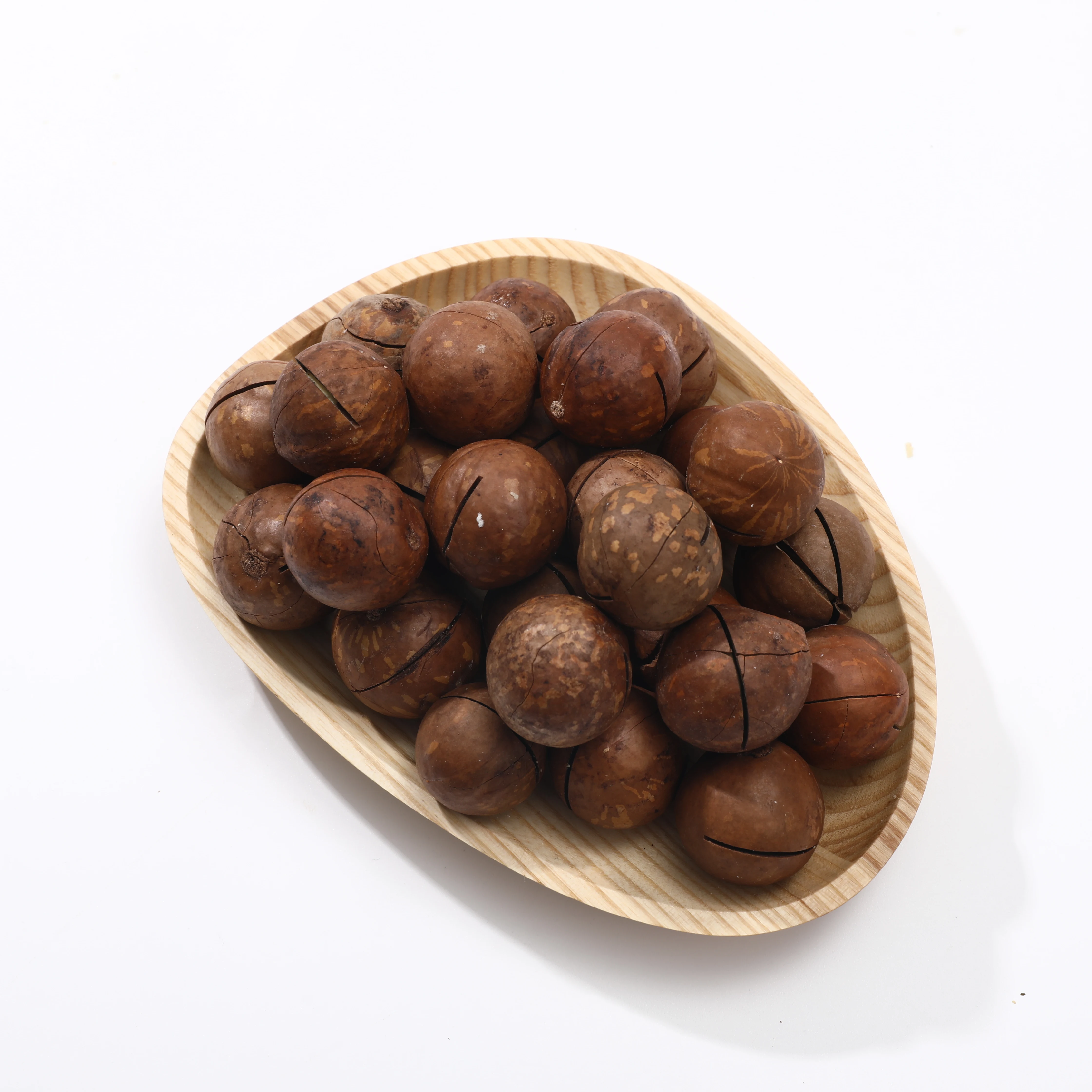 China Origin Milky Flavor   Roasted  Nuts Macadamia Nuts With Shell