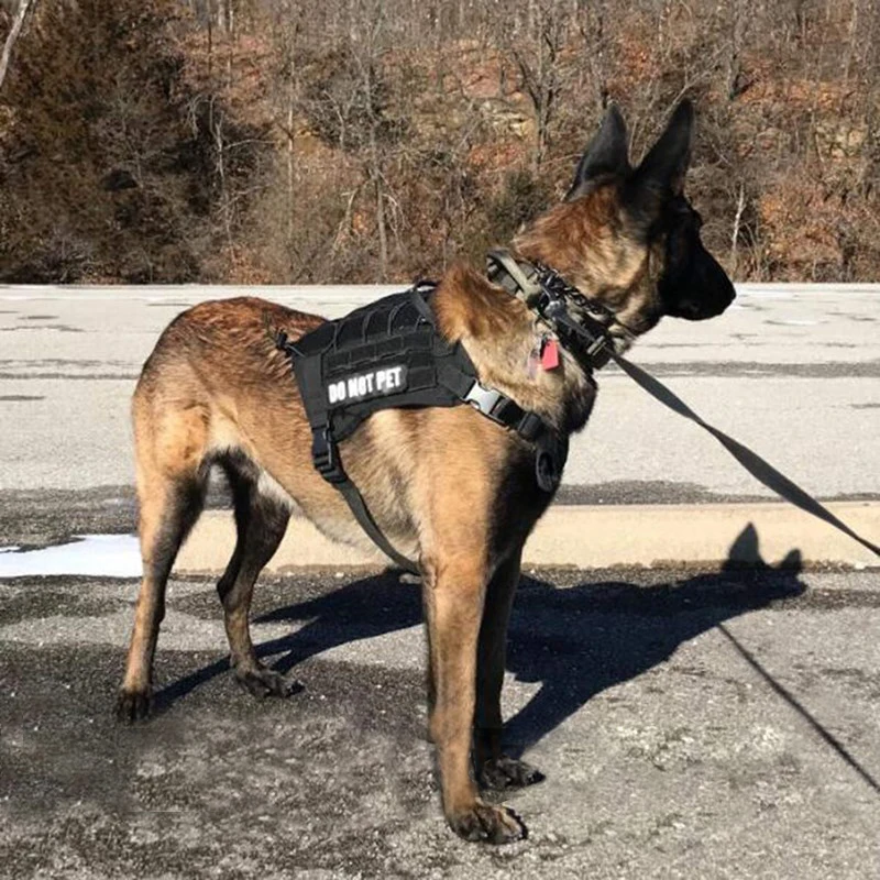 Custom Dog Collar And Leash Set luxury Tactical Dog Collar  Adjustable Training Tool Quick Detachable Dog Collar Metal Buckle