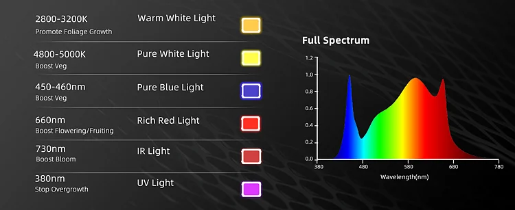 grow light(9)