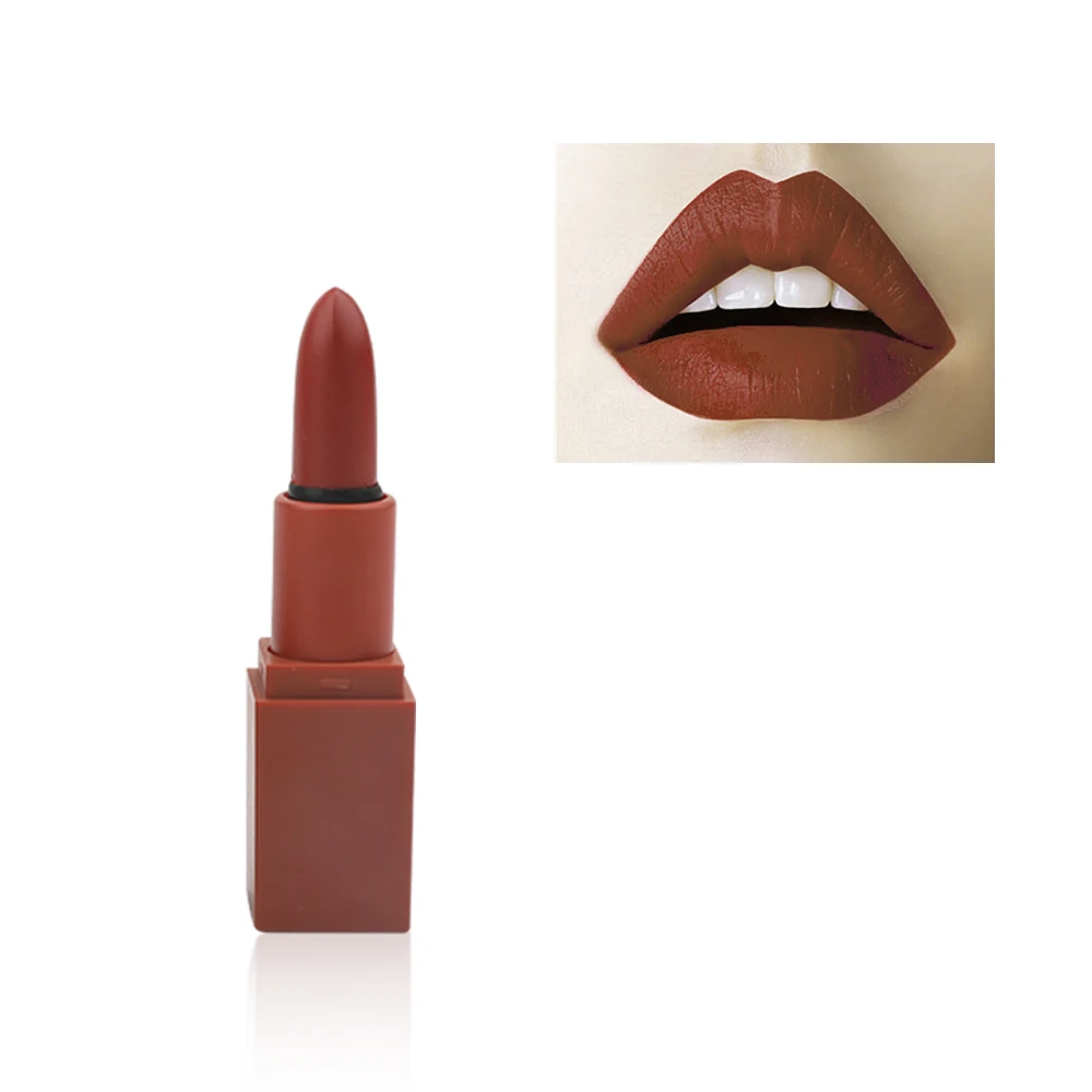 Private Label 5 colors in 1 Matte Lipstick Set Long Lasting Pigment Nude Lipstick OEM