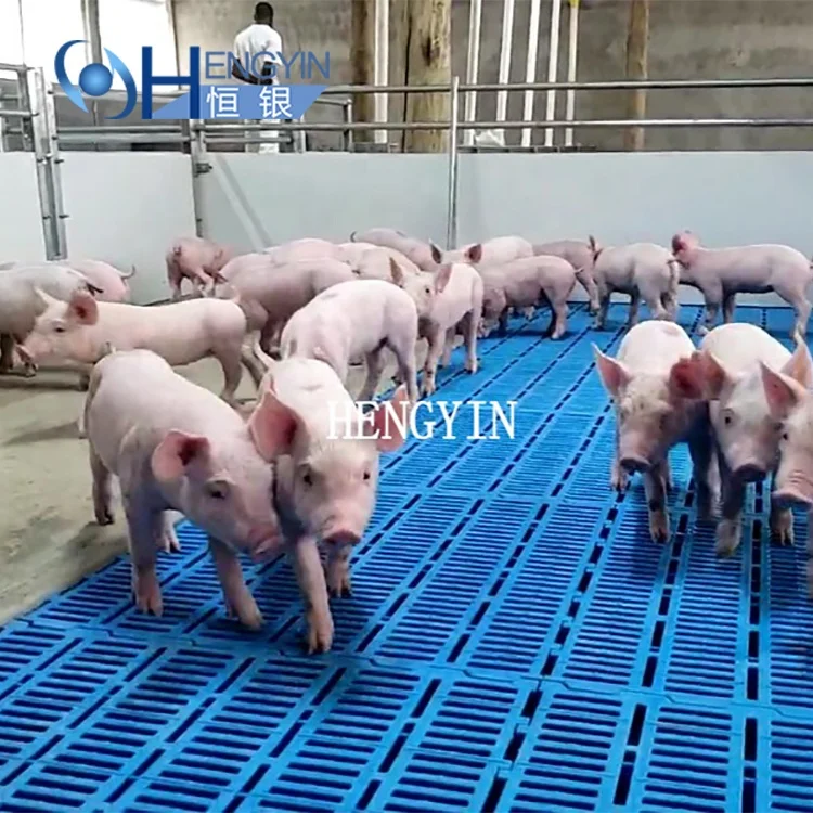 Best sell piglet slat floor pig use plastic slatted floor good quality pure PP plastic floor for pig