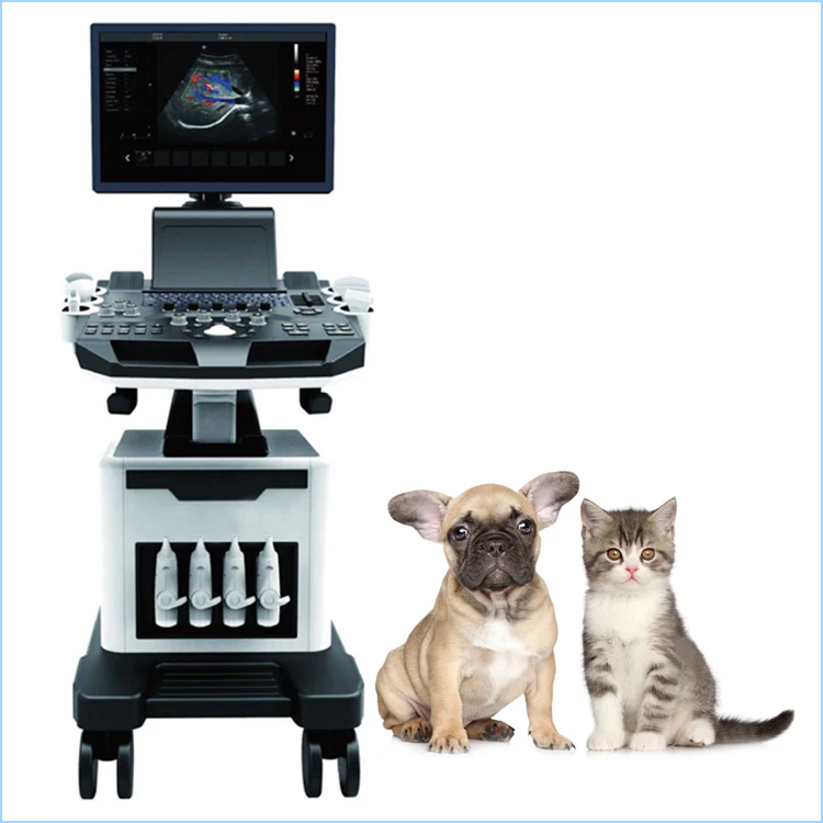 Veterinary high quality 3D 4D portable color doppler ultrasound system machine for animal pet dog cat