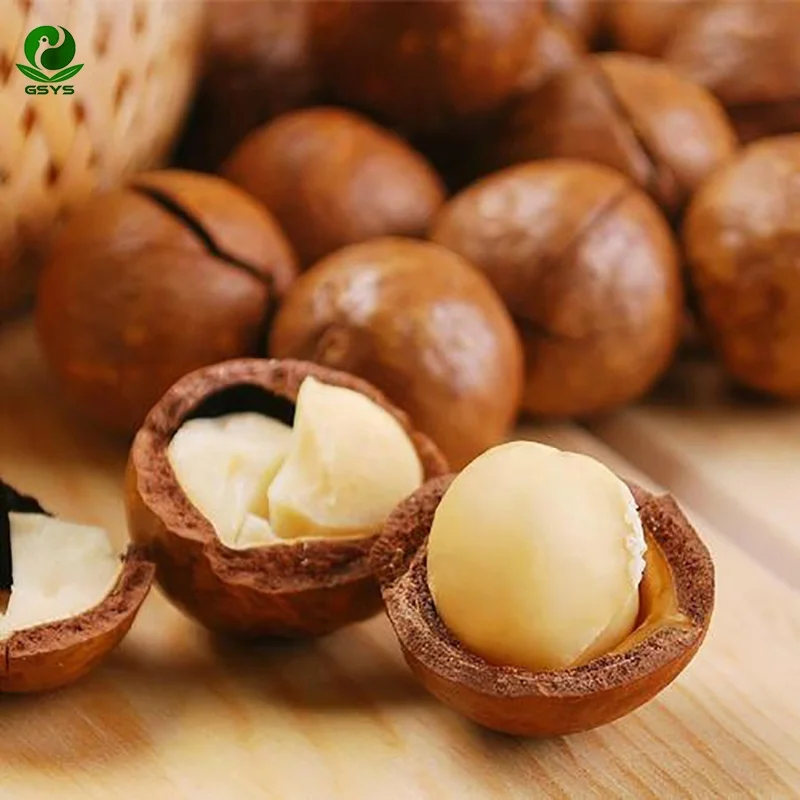 Оптовая продажа дешевая цена орехи макадамия размер раковины 25 мм +