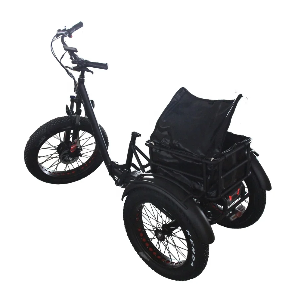  Electric auto rickshaw pedicab tuk for