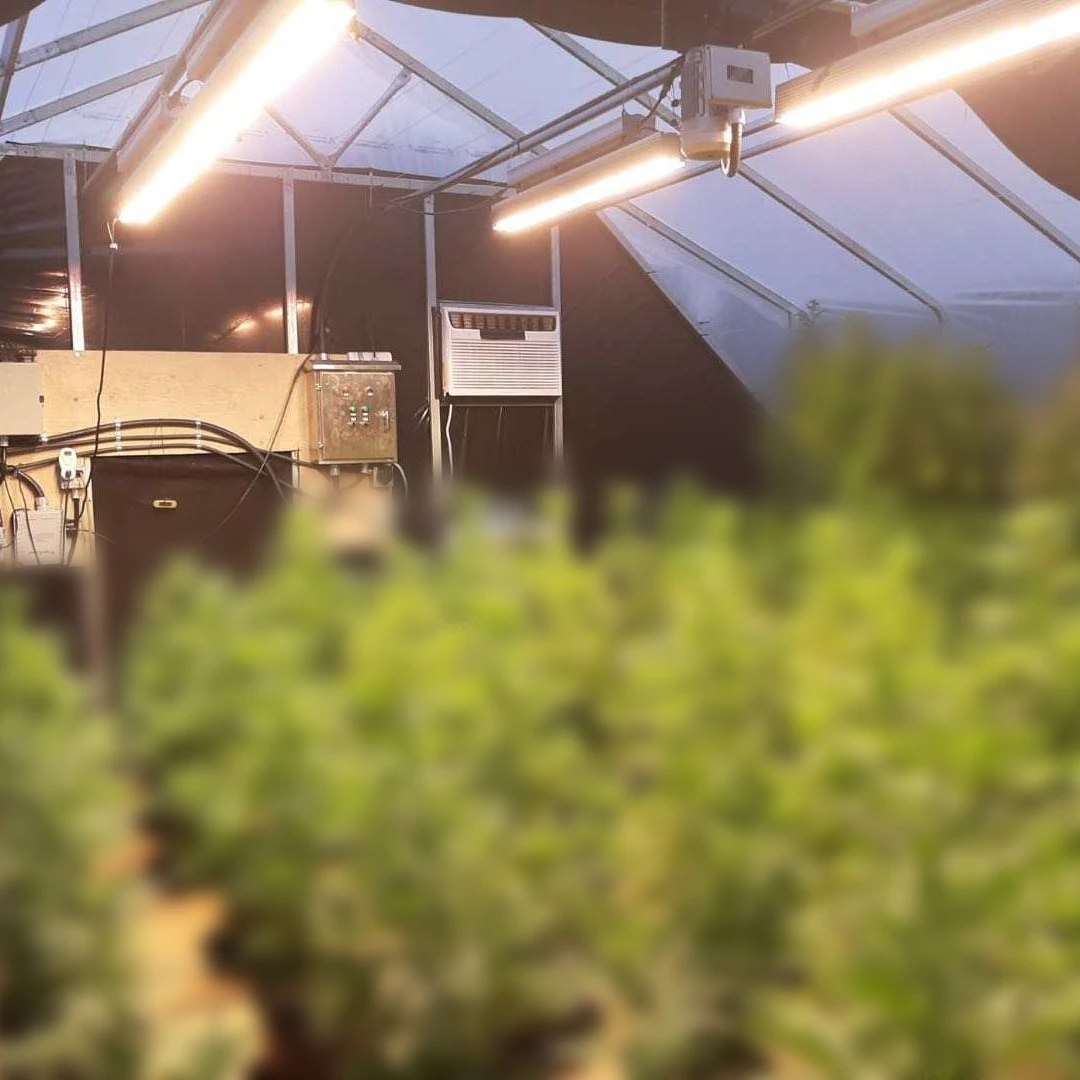 Greenhouse 1000W HPS Lamps Replacement LED Grow Lights Sunritek GX 330W 530W 660W Supplementary Lighting Agriculture LED