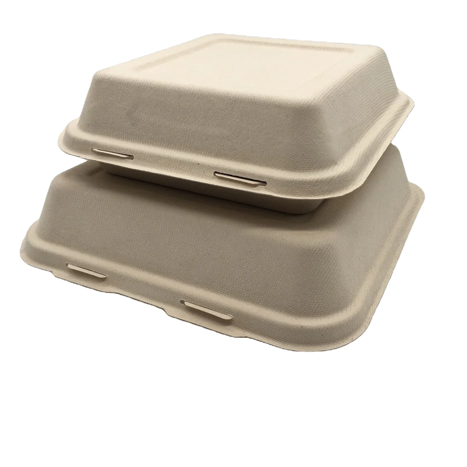 eco friendly food packaging container from bagasse containers manufacturer