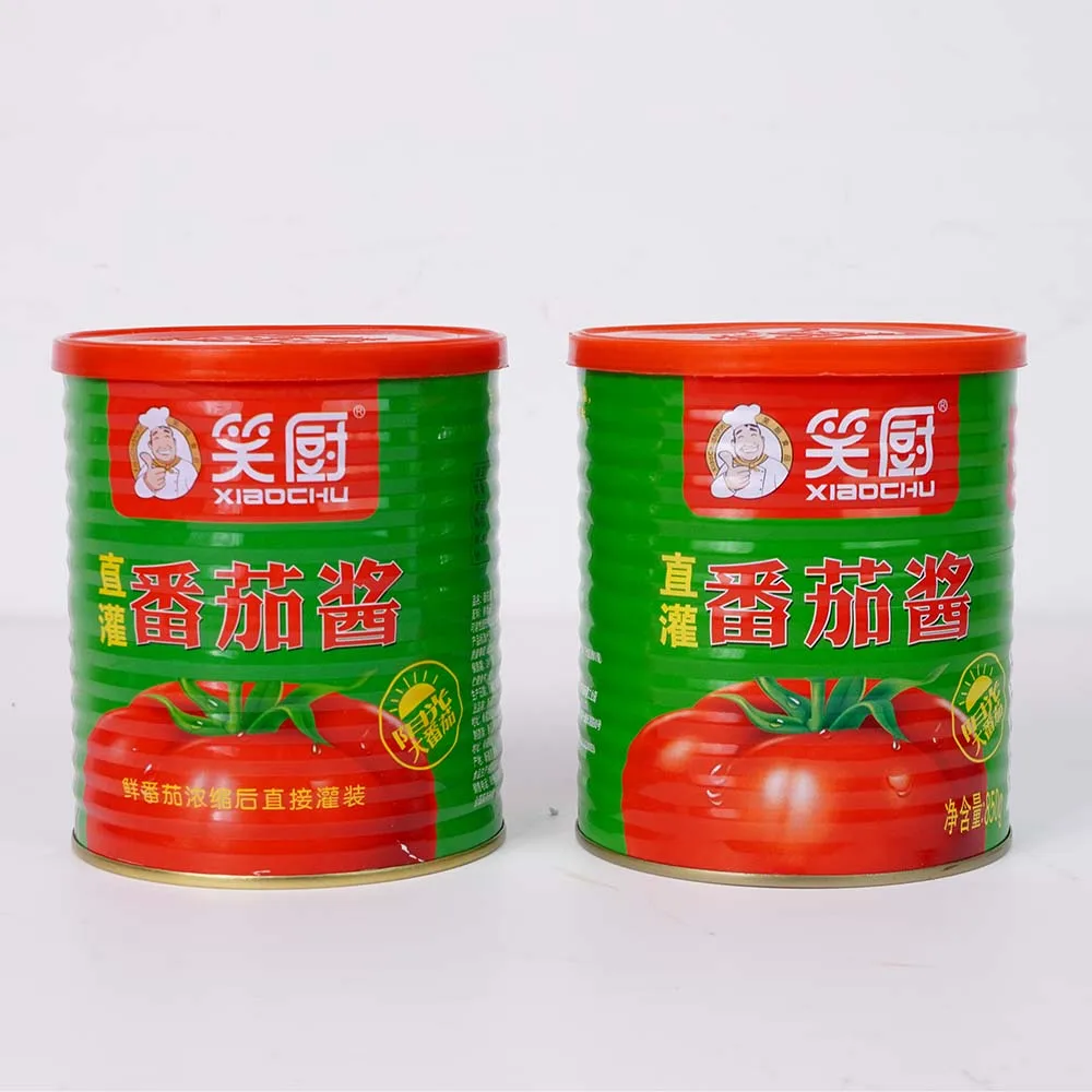 OEM factory sells well all year around Canned Tomato Paste easy open tomato pasta sauce 850g