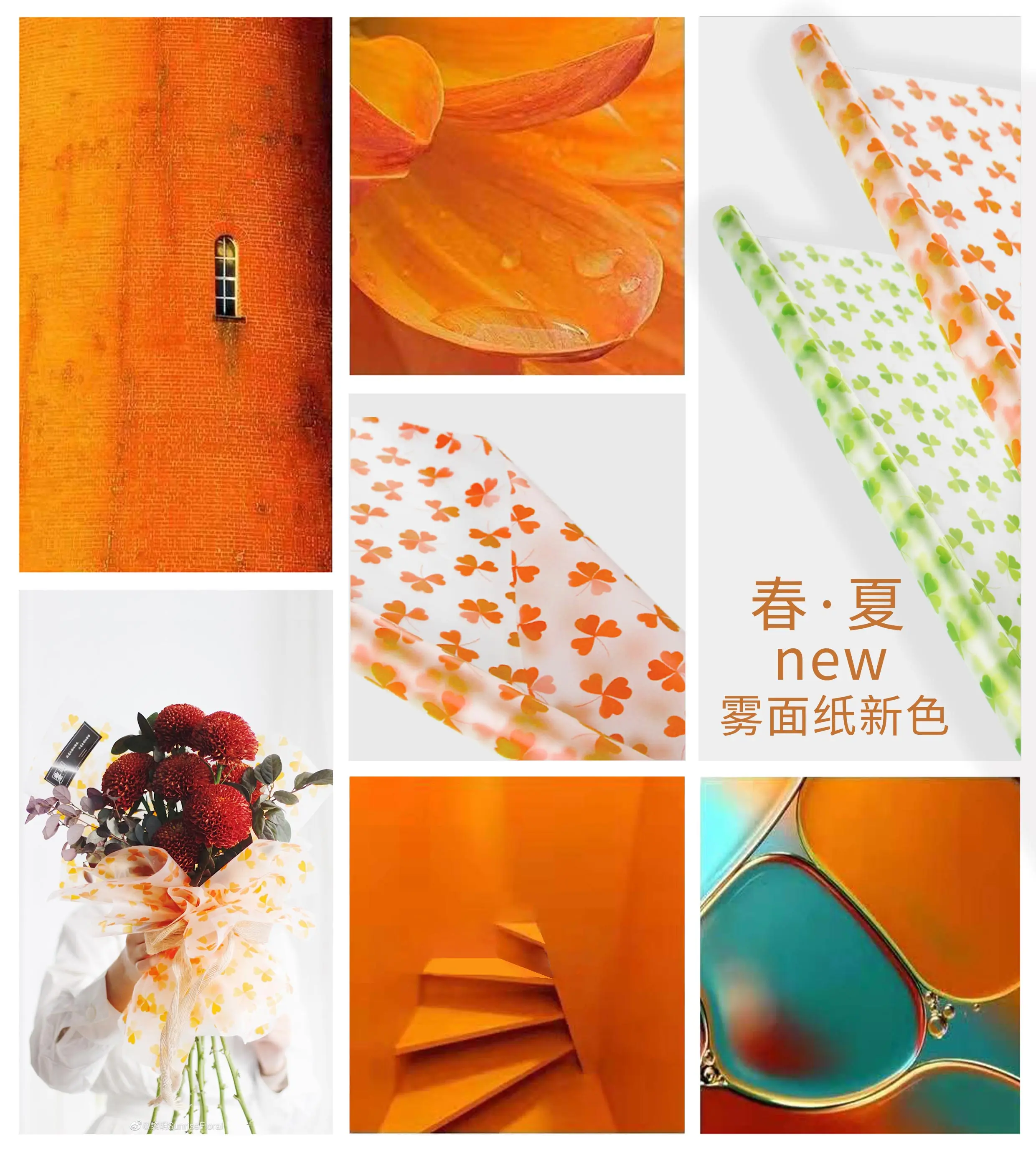 Shinewrap 0.05mm Professional Creative Clover Designed Flower Paper Clear Film waterproof wrapping paper Roll for flower