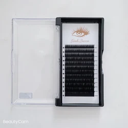 OEM Factory Eyelash Extension Private Label Custom Artificial Eyelash Ellipse Flat Shape False Lashes Black Korean PBT Fiber