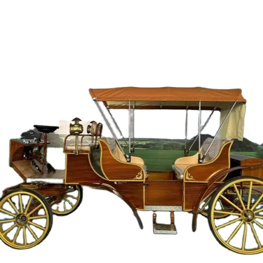 Customized European Sightseeing Carriage Electric EXW Wooden Seat Hot Selling High Quality Special Transportation 2024 Fangyu