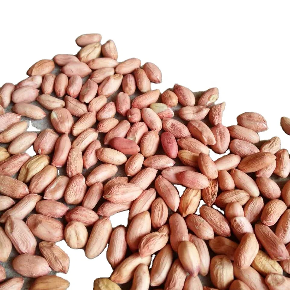Chinese High Grade Peanut Kernels Hot-selling Peanut Kernels