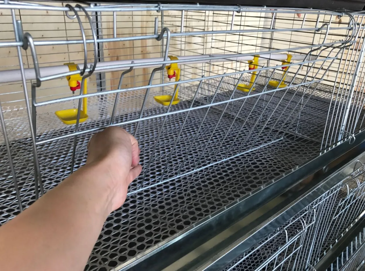 Mink Cages For Sale ,Day Old Broiler Chicks ,Galvanized Baby Chicks Cage