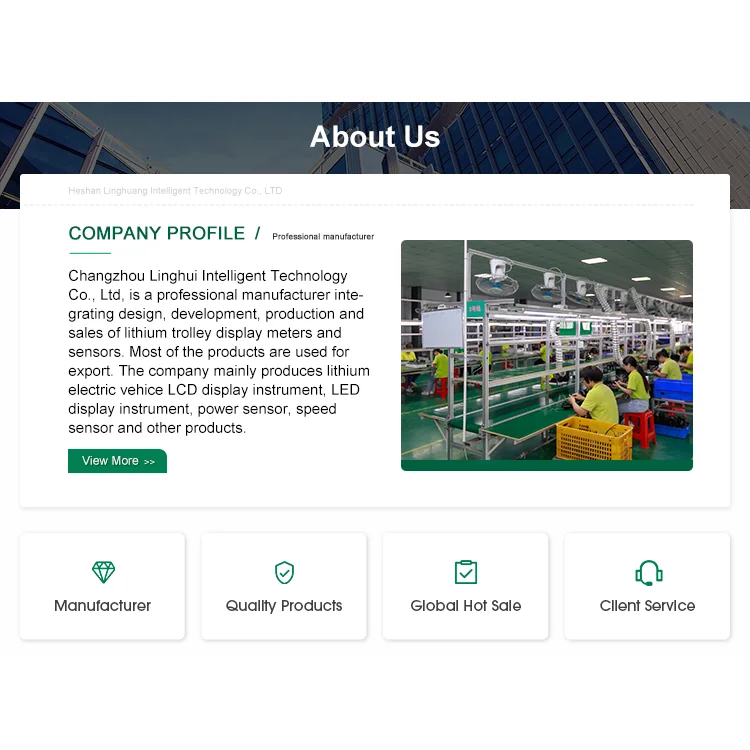 Electric Bicycle Speed Control Meter Mountain Bike Scooter Lcd Lcd Meter Vertical Screen Speed Governor Throttle Code Table