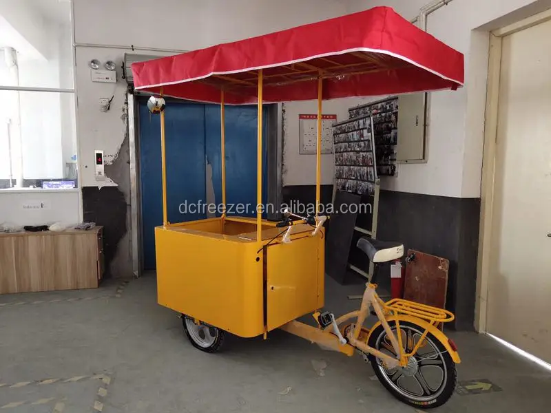 Direct Manufacturer 3 Wheel Electric DC 12V 24V solar powered Ice Cream Cart Display Tricycle Cargo Bike With Umbrella 100L 200L