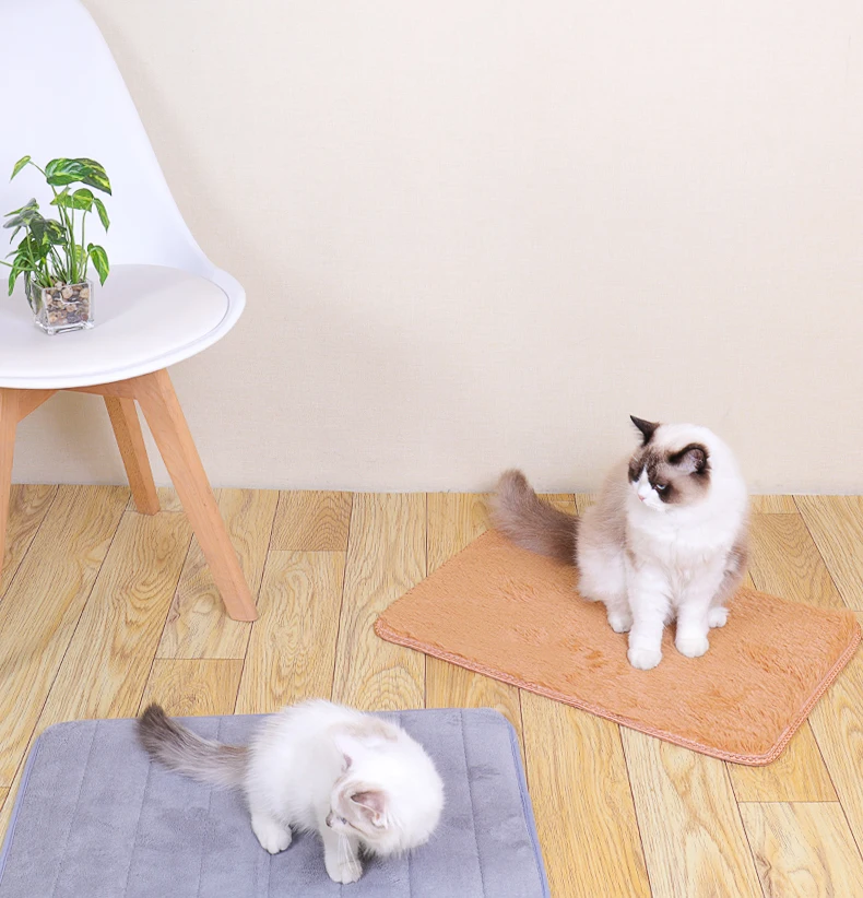 
Pet products 2021 animal accessories pet shop dog cat mat rock play sleeper 