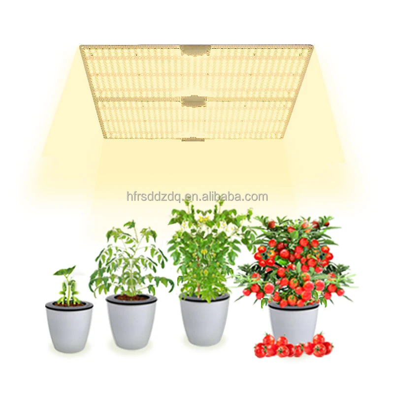 Factory Led Plant Lighting Footprint Full Spectrum Led Grow Light China Quantity Silver Luminous Flower