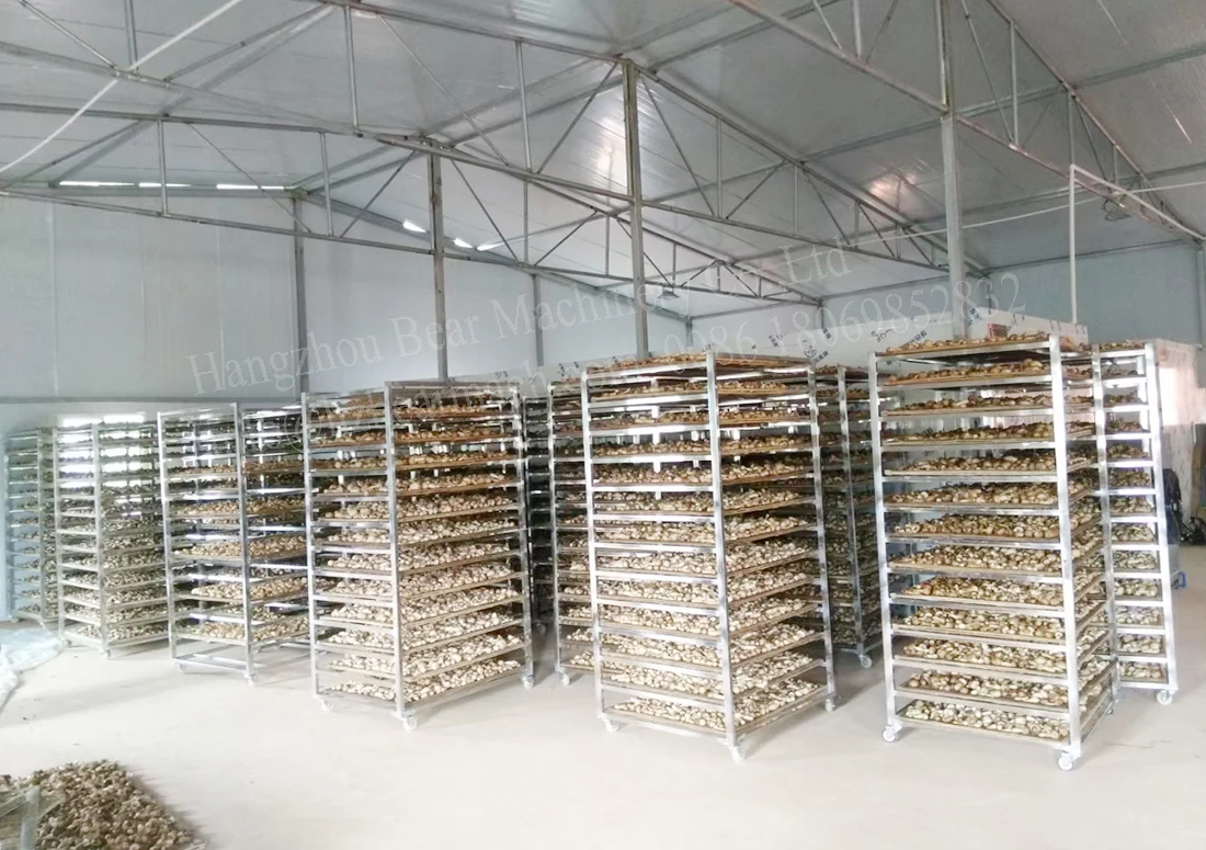 Hot sale fruit and vegetable dryer machine banana chips drying machine machine fish dryer