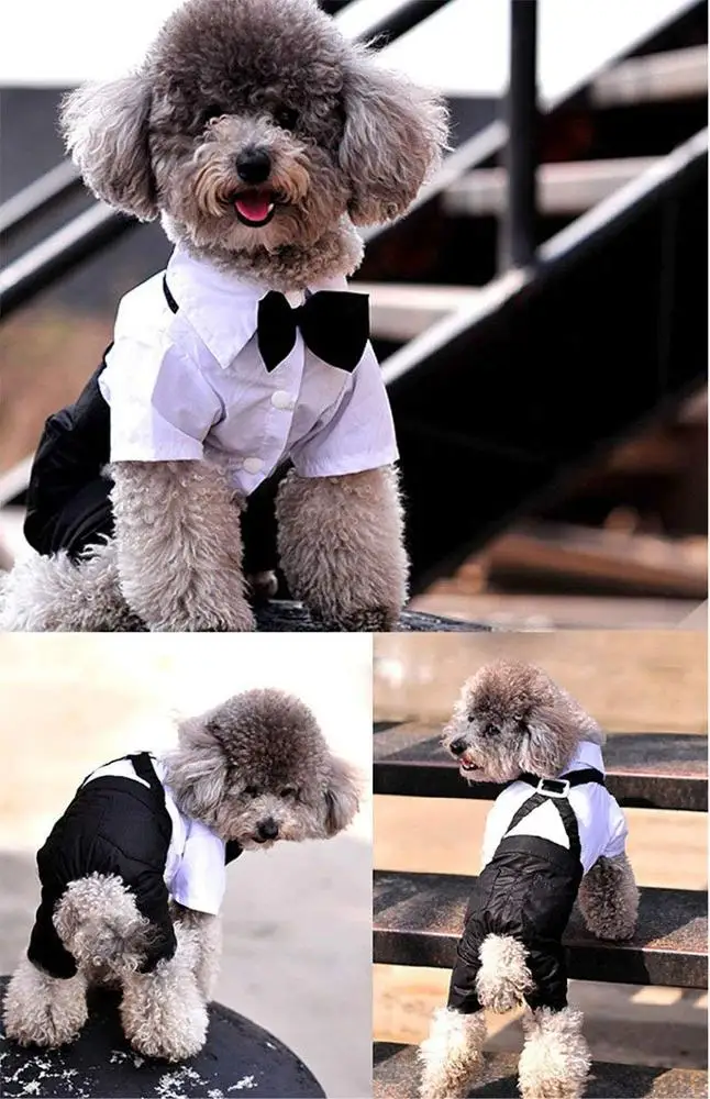 Gentleman Dog Clothes Suit Boy Dog Wedding Dress Tuxedo Party Pet Clothing Outfit Poodle