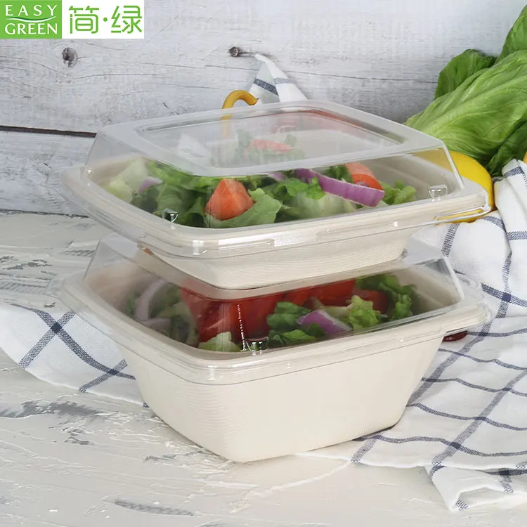 Easy Green Eco Friendly Disposable Biodegradable Bagasse Plate Tray Bowl Cup Lunch Box Set