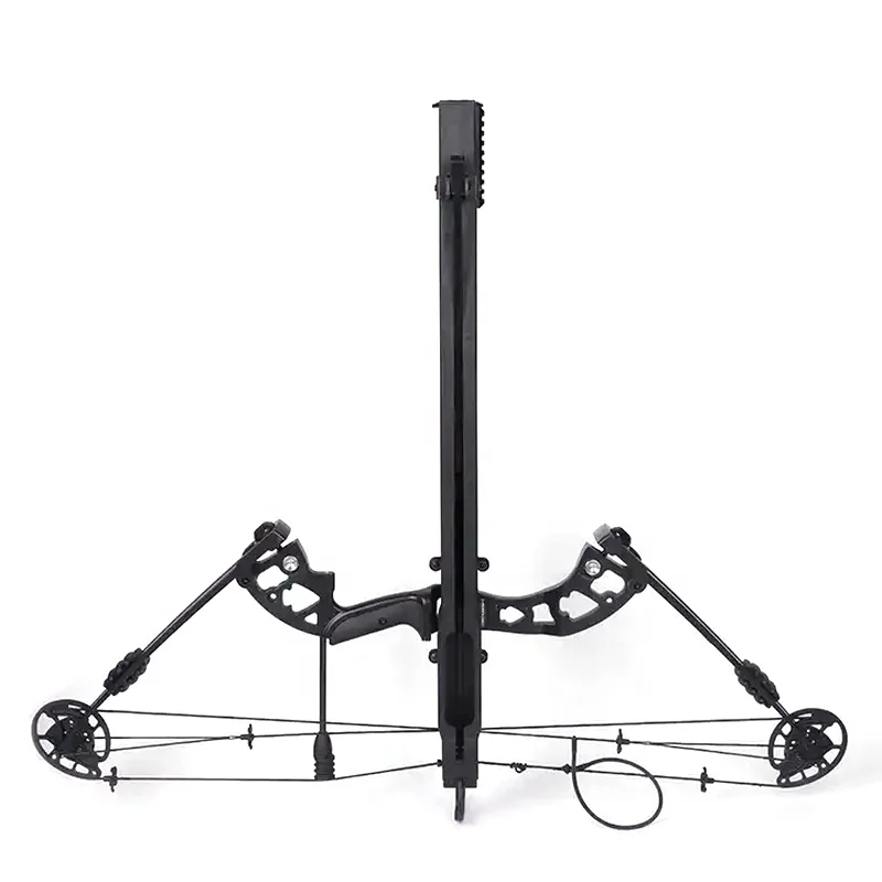 Strong Stability China Hunting Compound Bow Arrow Compound Bow